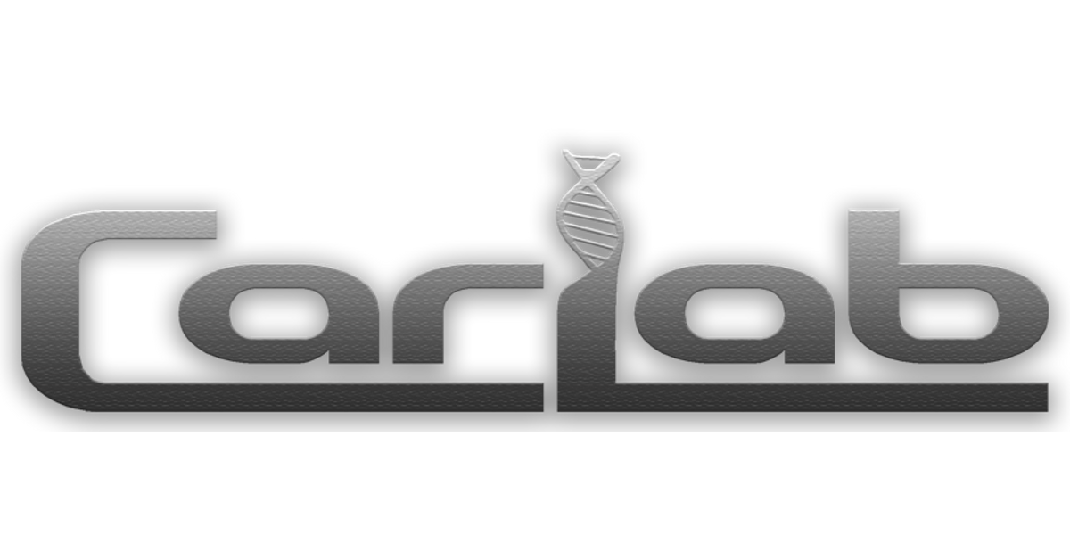 Car Lab Icon Car Lab