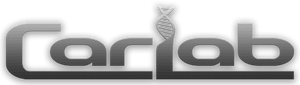 Car Lab